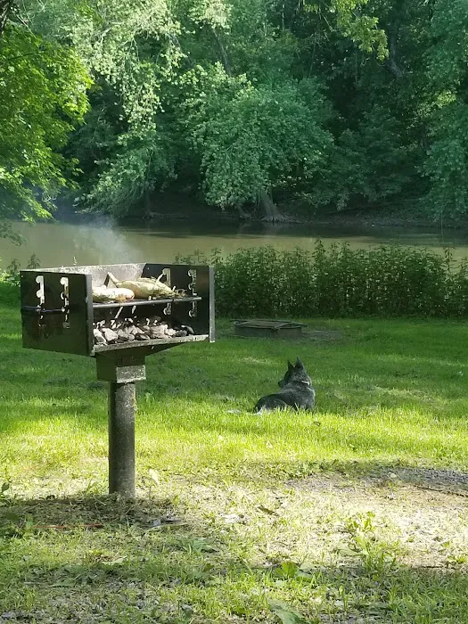 Spring Gap Campground 5