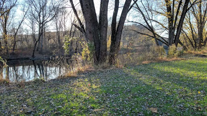Spring Gap Campground 8