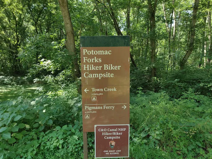 Potomac Forks Campsite 7