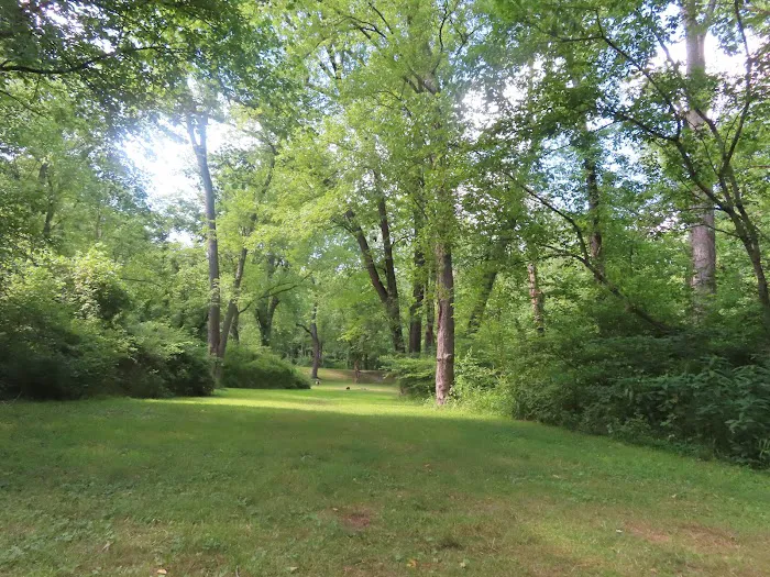 Town Creek Campsite 1