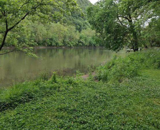 Town Creek Campsite