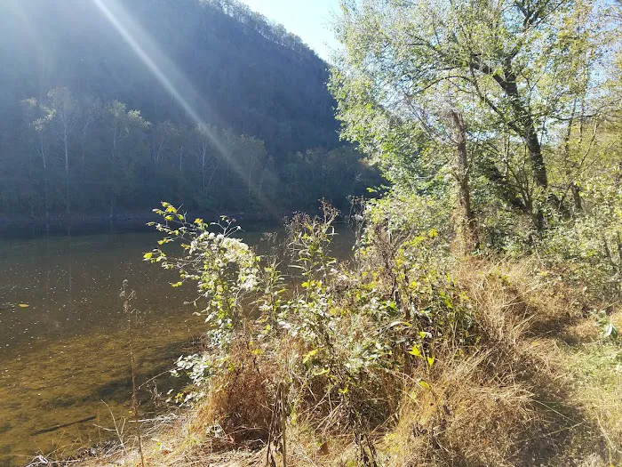 Town Creek Campsite 7
