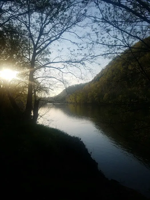 Town Creek Campsite 8