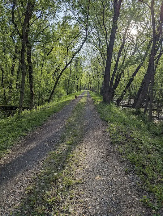 Town Creek Campsite 9