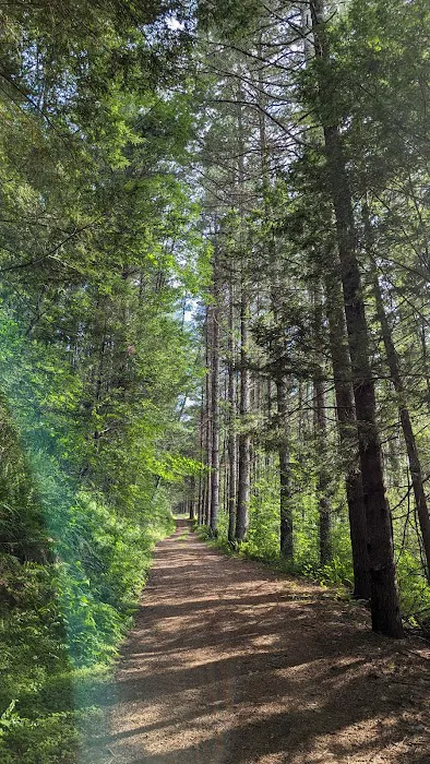 Boyer Station Campground 7