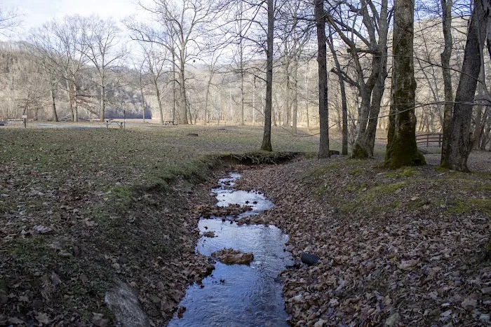 Baker's Run Campground 8