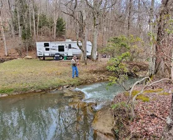 Cranberry Forest Farm Campground