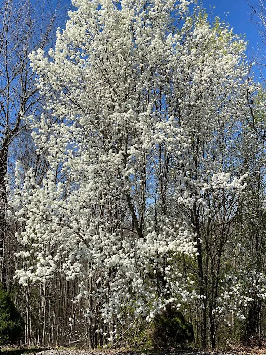 Flatwoods KOA Journey 8