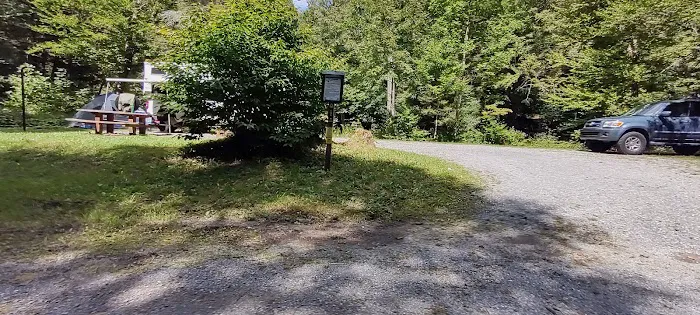 Williams River Campsite 9 0