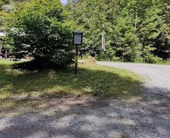 Williams River Campsite 9