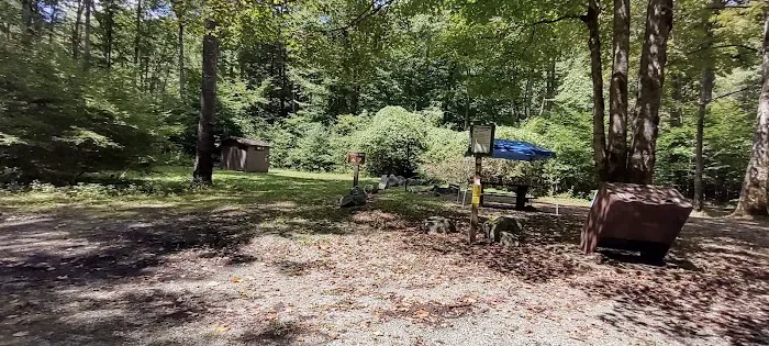 Williams River Campsite 8 1