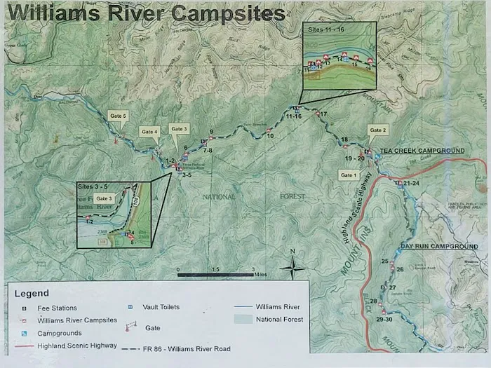 Williams River Campsite 8 0
