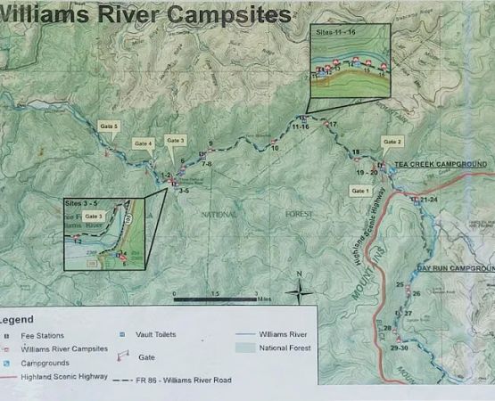 Williams River Campsite 8