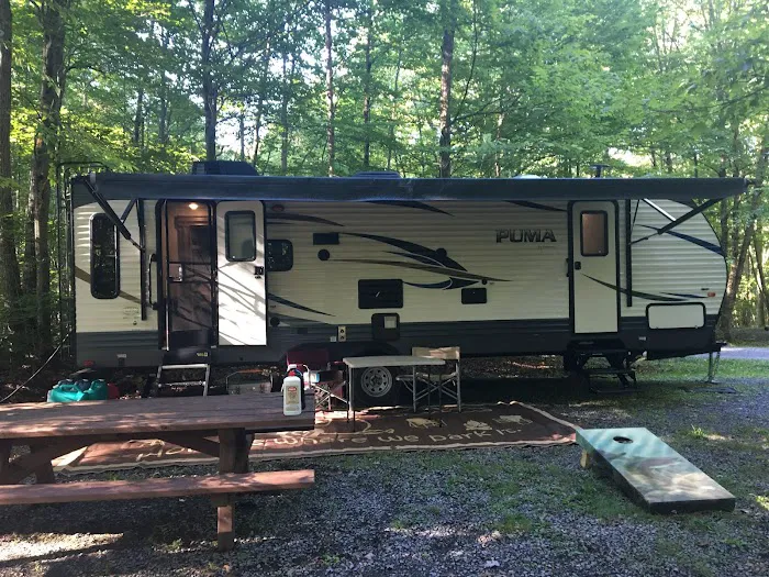 Bishop Knob Campground 1