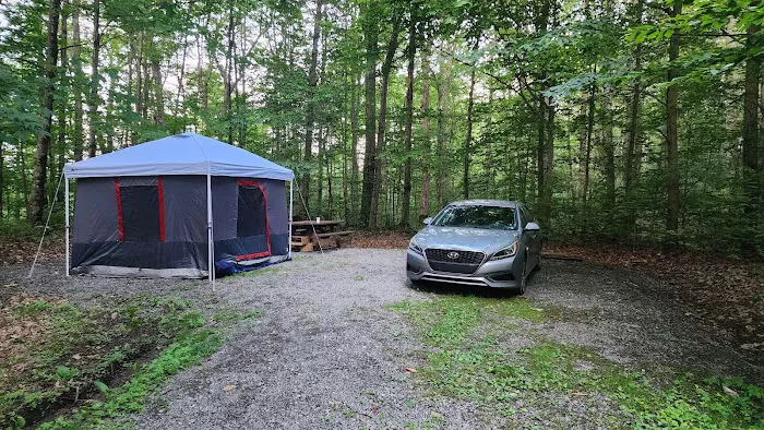 Bishop Knob Campground 2