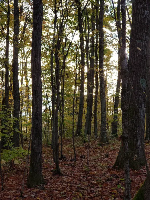 Bishop Knob Campground 6