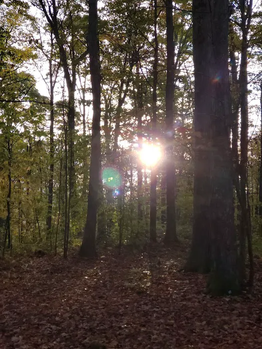 Bishop Knob Campground 8