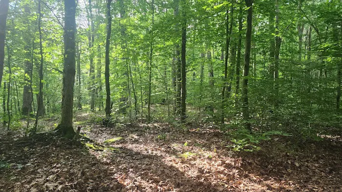 Bishop Knob Campground 9