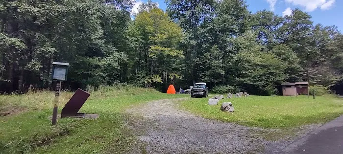 Williams River Campsite 11 1