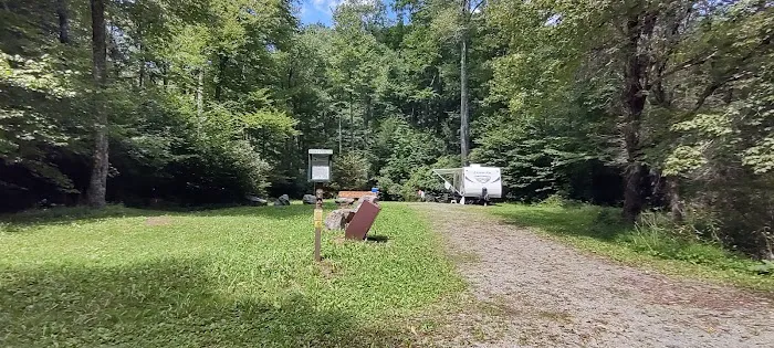 Williams River Campsite 12 0