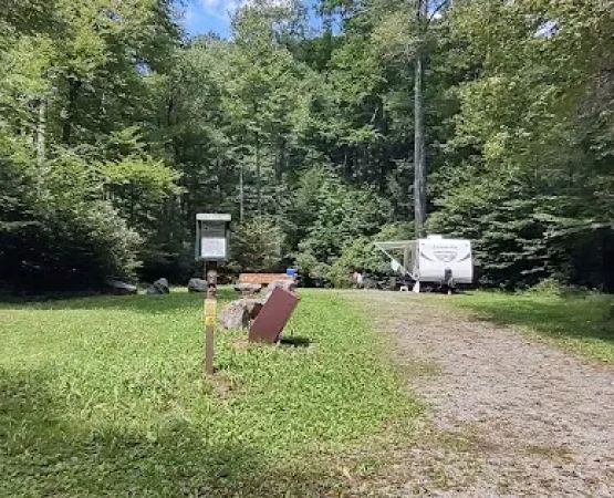 Williams River Campsite 12