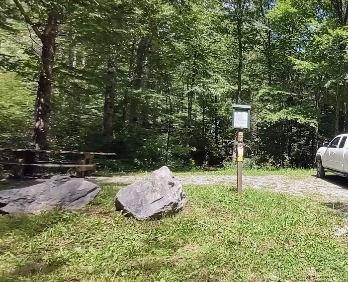 Williams River Campsite 14 1
