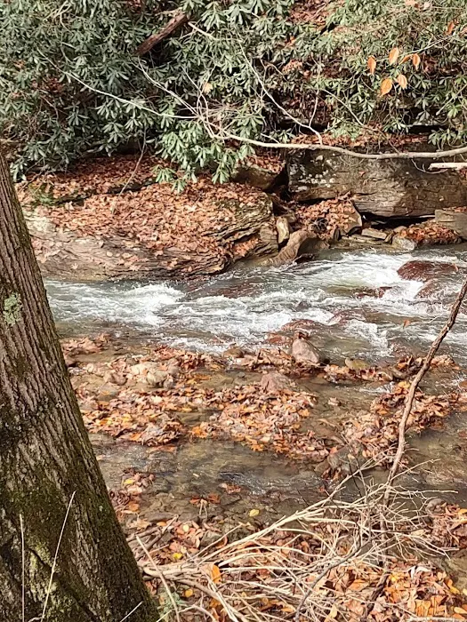 Teter's Campground 7