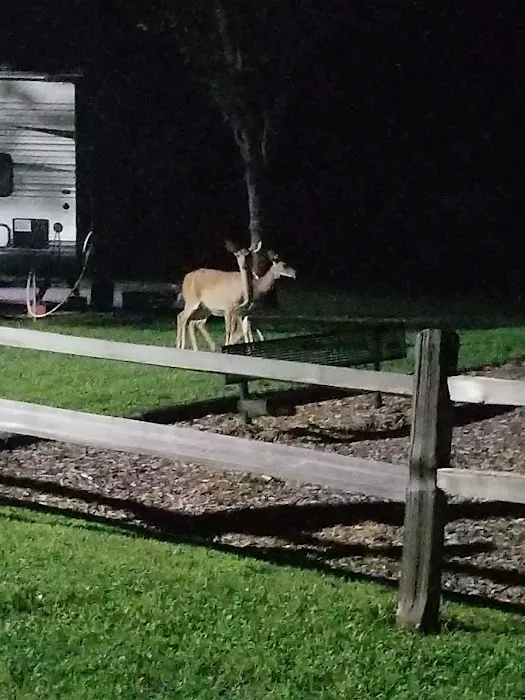 Riffle Run Campground 1