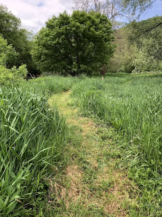 Marlinton Creek and Trail Campground 6