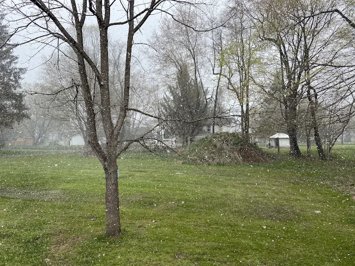 Marlinton Creek and Trail Campground 7