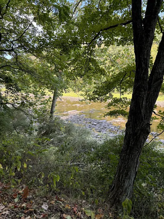 Marlinton Creek and Trail Campground 8