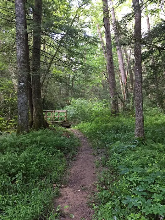 Pocahontas Campground 7