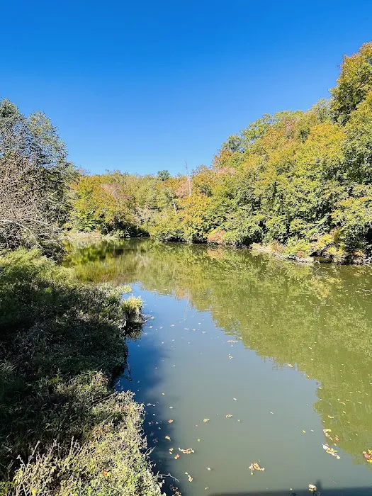 Pocahontas Campground 9