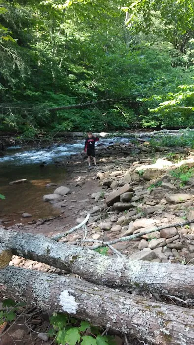 Day Run Campground 9
