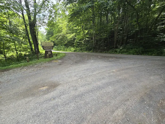 Day Run Campground 6
