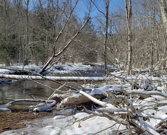 Day Run Campground