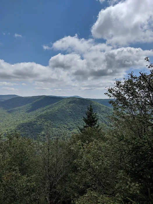 Tea Creek Campground 5