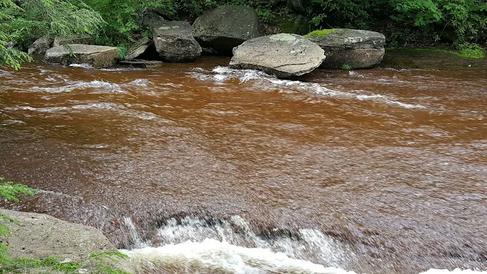 Tea Creek Campground 9