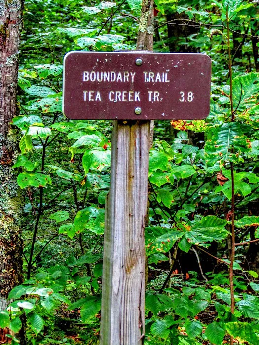 Tea Creek Campground 3