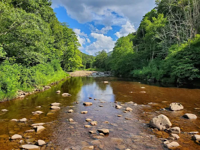 Tea Creek Campground 0