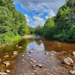 Tea Creek Campground