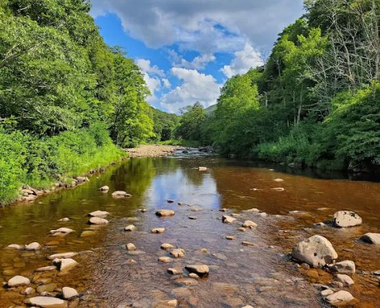 Tea Creek Campground