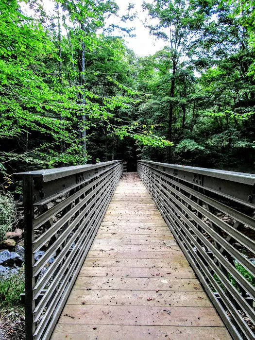 Tea Creek Campground 7