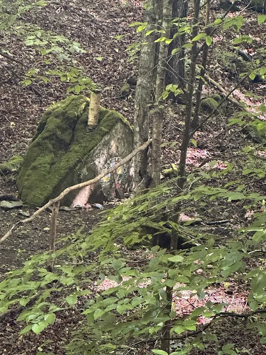 Bear Cave Camp 1
