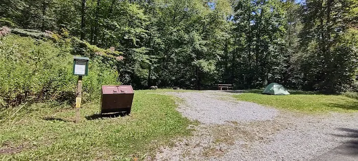 Williams River Campsite 17 0