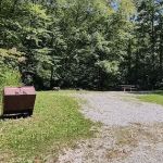 Williams River Campsite 17