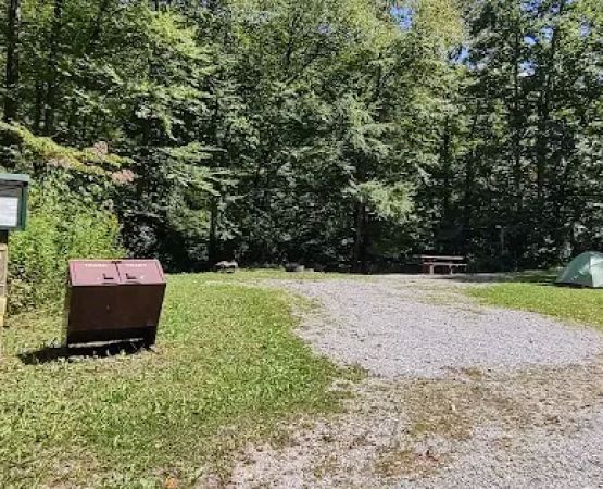 Williams River Campsite 17