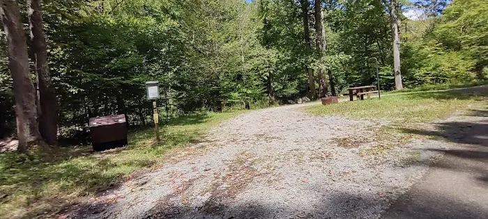 Williams River Campsite 10 1