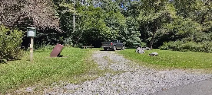 Williams River Campsite 19 1