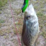 Maplewood Christian Campground